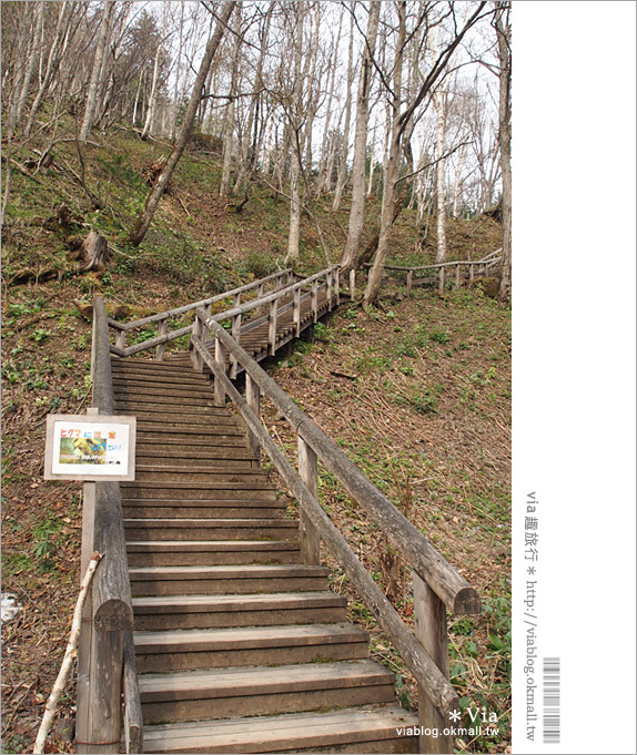 層雲峽景點》上川之旅～上川公園、旭之丘、層雲峽纜車、銀河流星瀑布、寫真展覽室