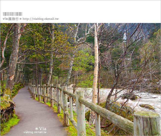 層雲峽景點》上川之旅～上川公園、旭之丘、層雲峽纜車、銀河流星瀑布、寫真展覽室