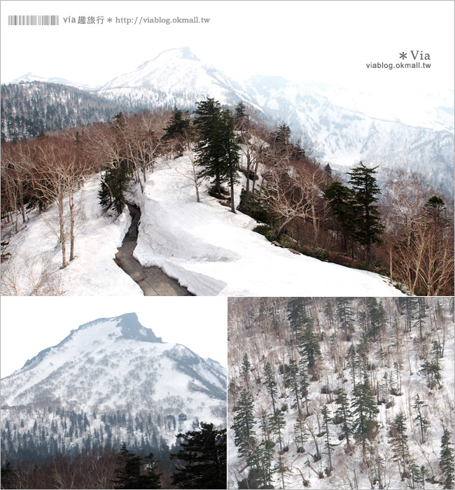 層雲峽景點》上川之旅～上川公園、旭之丘、層雲峽纜車、銀河流星瀑布、寫真展覽室