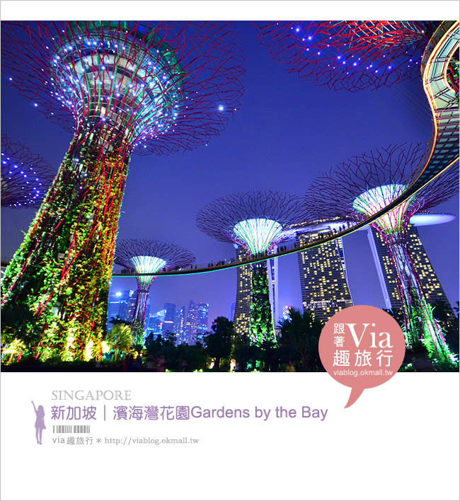 新加坡旅遊景點》濱海灣花園Gardens by the Bay～無敵美的超級樹！大推必去！