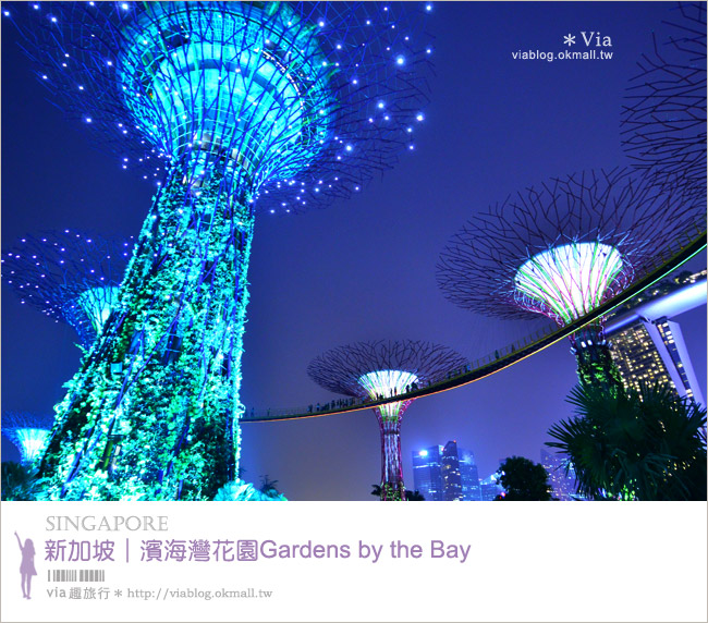 新加坡旅遊景點》濱海灣花園Gardens by the Bay～無敵美的超級樹！大推必去！