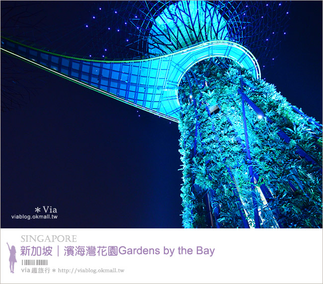 新加坡旅遊景點》濱海灣花園Gardens by the Bay～無敵美的超級樹！大推必去！