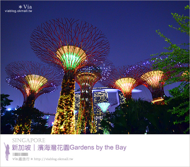 新加坡旅遊景點》濱海灣花園Gardens by the Bay～無敵美的超級樹！大推必去！