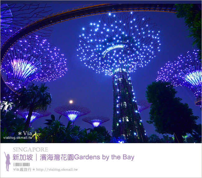 新加坡旅遊景點》濱海灣花園Gardens by the Bay～無敵美的超級樹！大推必去！