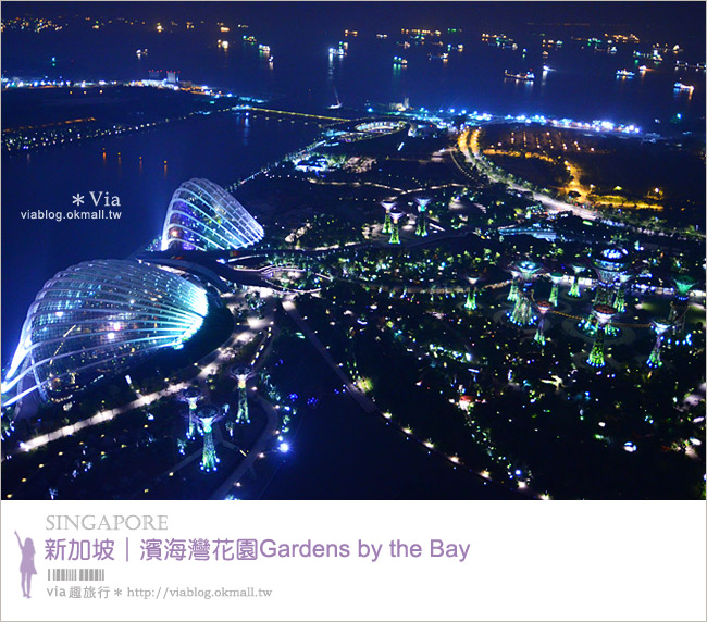 新加坡旅遊景點》濱海灣花園Gardens by the Bay～無敵美的超級樹！大推必去！