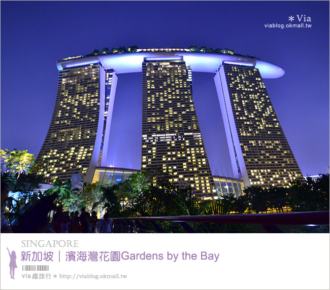 新加坡旅遊景點》濱海灣花園Gardens by the Bay～無敵美的超級樹！大推必去！