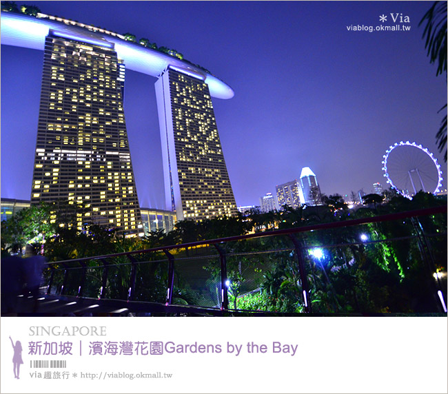 新加坡旅遊景點》濱海灣花園Gardens by the Bay～無敵美的超級樹！大推必去！