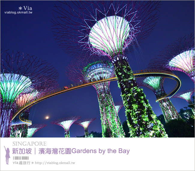 新加坡旅遊景點》濱海灣花園Gardens by the Bay～無敵美的超級樹！大推必去！