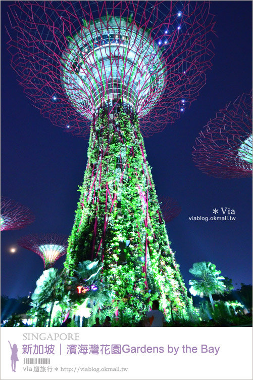 新加坡旅遊景點》濱海灣花園Gardens by the Bay～無敵美的超級樹！大推必去！