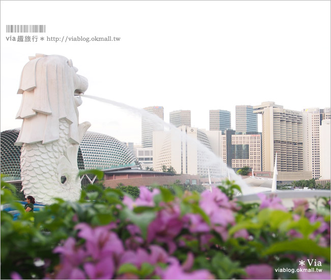 新加坡景點》新加坡必去景點～魚尾獅公園Merlion Park！夜景時最美！