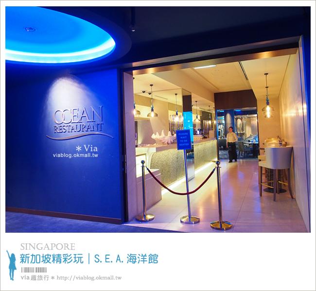 新加坡觀光景點》新加坡SEA海洋館～全球最大的海洋館約會去！