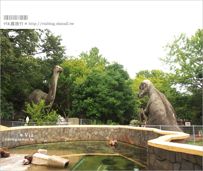 名古屋旅遊》東山動植物園～超大園區！動物園、植物園一次看個夠！