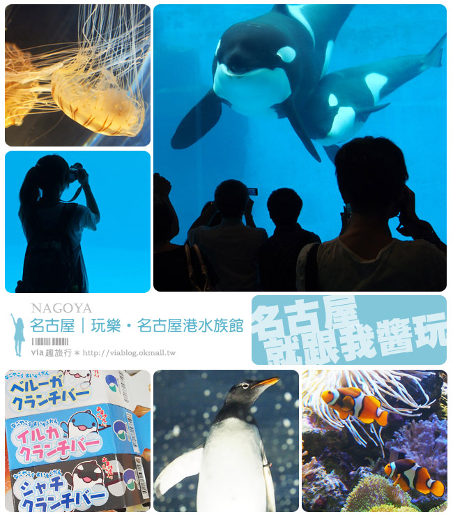 名古屋景點》名古屋港水族館～大人氣的虎鯨、小白鯨、企鵝、海豚等你來玩！