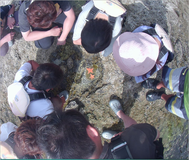 北海道旅遊》塩谷海岸獨木舟之旅～夏季最驚豔的北海道玩法！