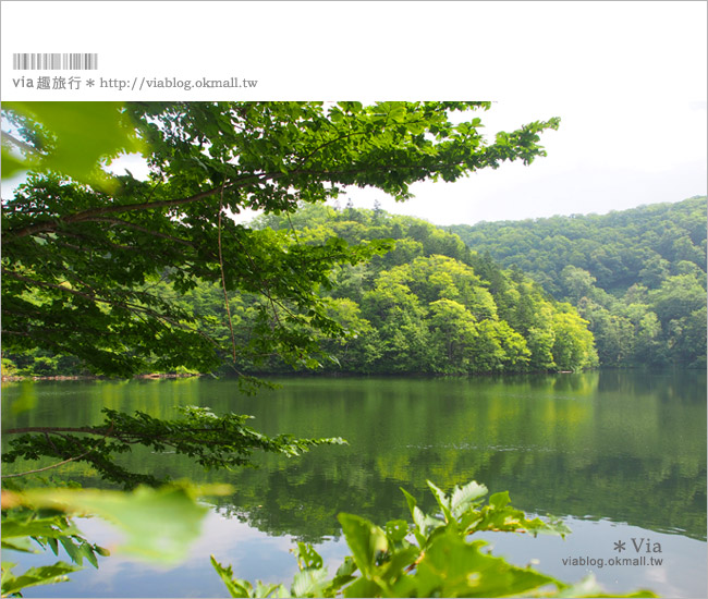 北海道旅遊》二世谷景點夏日玩樂法！（必吃高橋牧場霜淇淋啊～）