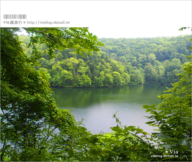 北海道旅遊》二世谷景點夏日玩樂法！（必吃高橋牧場霜淇淋啊～）