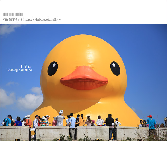 桃園黃色小鴨》2013桃園地景藝術節(已撤展)～黃色小鴨＋地景節！趕快來旅行～