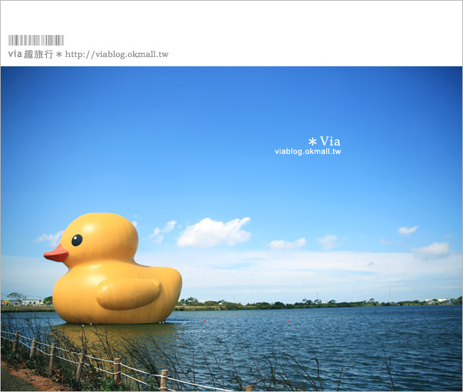 桃園黃色小鴨》2013桃園地景藝術節(已撤展)～黃色小鴨＋地景節！趕快來旅行～