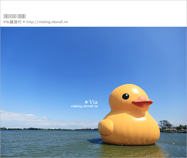 桃園黃色小鴨》2013桃園地景藝術節(已撤展)～黃色小鴨＋地景節！趕快來旅行～