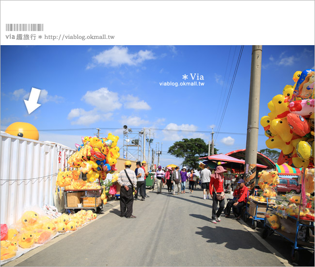 桃園黃色小鴨》2013桃園地景藝術節(已撤展)～黃色小鴨＋地景節！趕快來旅行～