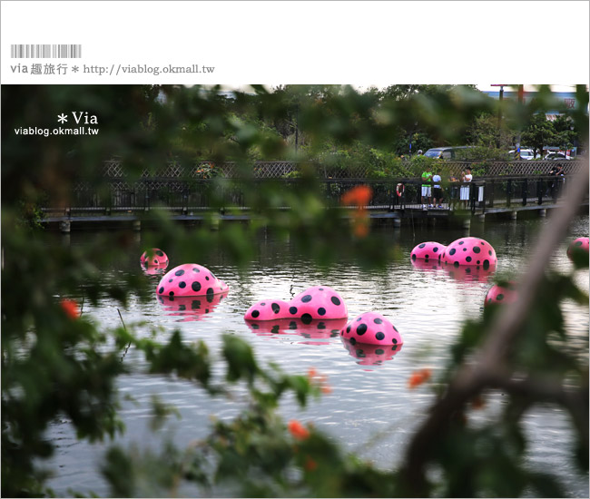 桃園黃色小鴨》2013桃園地景藝術節(已撤展)～黃色小鴨＋地景節！趕快來旅行～