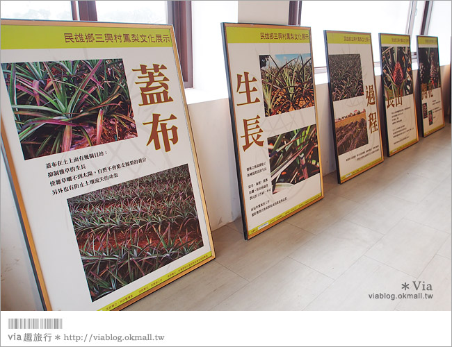 民雄一日遊》旺萊山鳳梨文化園區～旺萊山鳳梨酥觀光工廠／吃土鳳梨酥去～