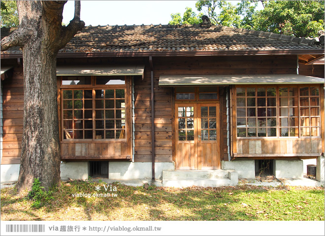 雲林景點》充滿藝文的斗六雲中街～黑膠茶屋、威廉提琴、舊警察宿舍群