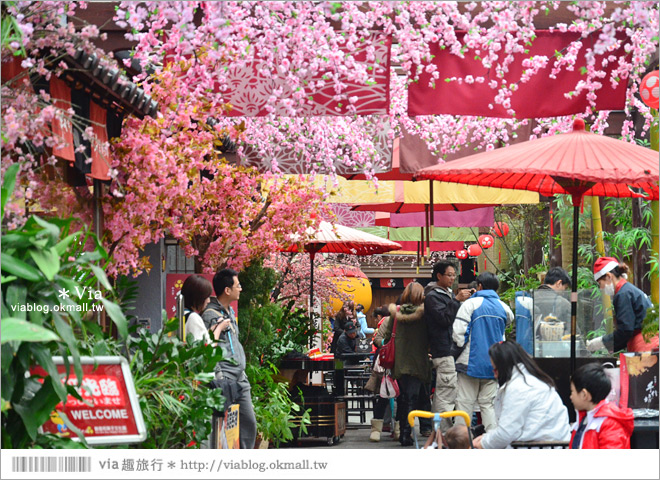 台北觀光工廠》手信坊創意和菓子文化館～彷佛盛開櫻花的小京都