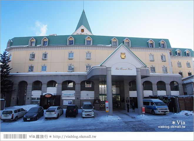 富良野住宿》富良野自然之森(Naturwald Furano Hotel)～有貓頭鷹的可愛飯店！