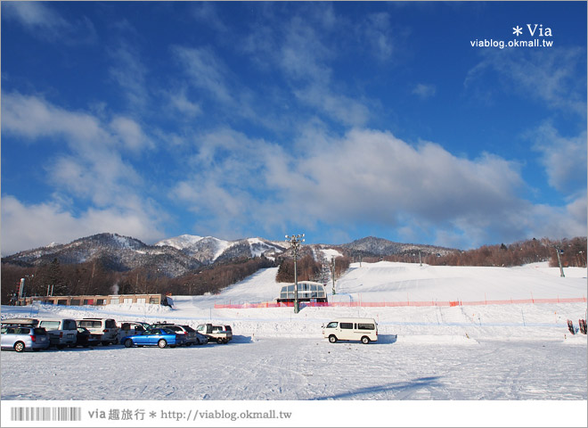 富良野住宿》富良野自然之森(Naturwald Furano Hotel)～有貓頭鷹的可愛飯店！