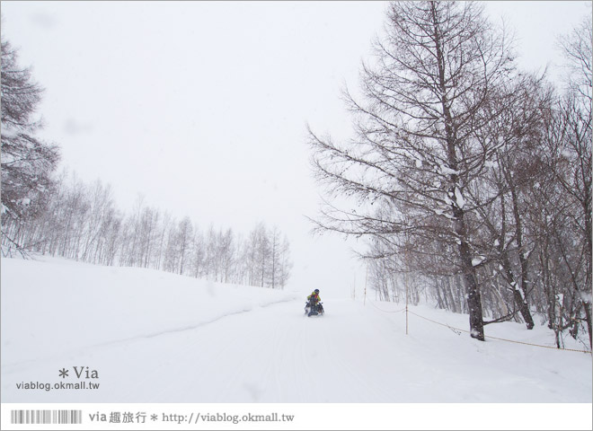 北海道冬季旅遊》北海道雪上活動～White Isle超好玩的雪上摩托車初體驗！