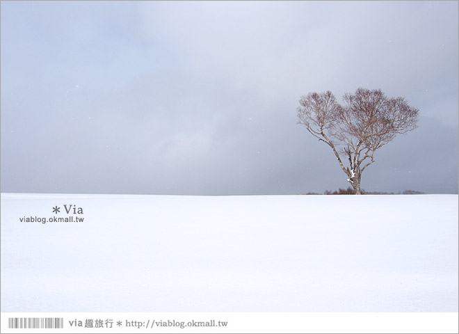 北海道冬季旅遊》北海道雪上活動～White Isle超好玩的雪上摩托車初體驗！