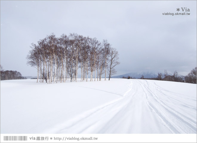 北海道冬季旅遊》北海道雪上活動～White Isle超好玩的雪上摩托車初體驗！