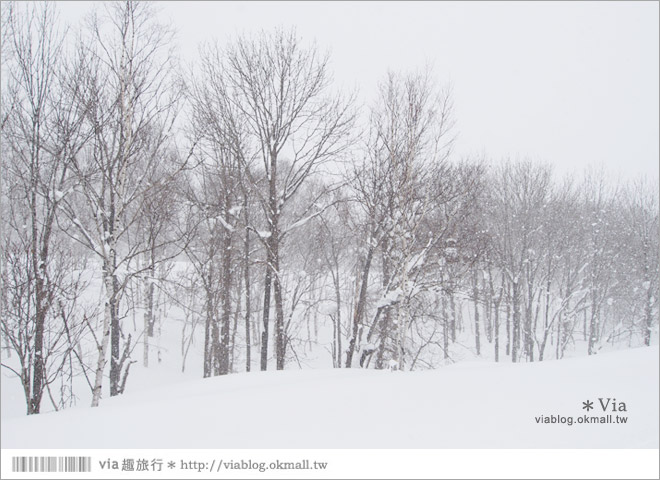 北海道冬季旅遊》北海道雪上活動～White Isle超好玩的雪上摩托車初體驗！