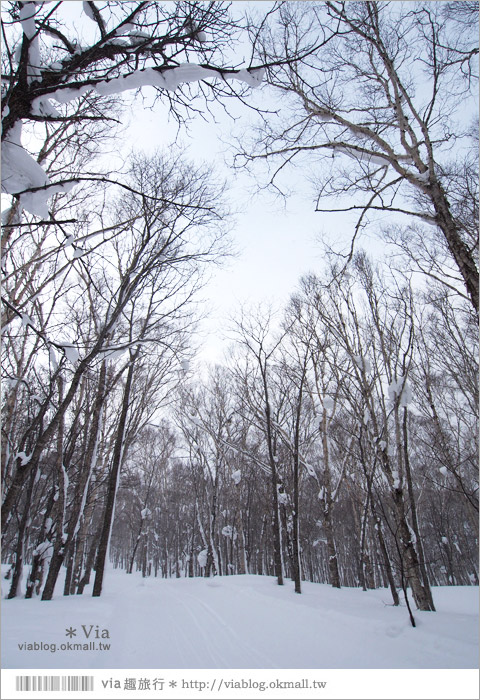 北海道冬季旅遊》北海道雪上活動～White Isle超好玩的雪上摩托車初體驗！