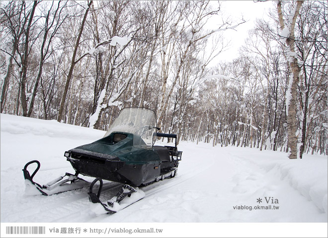 北海道冬季旅遊》北海道雪上活動～White Isle超好玩的雪上摩托車初體驗！