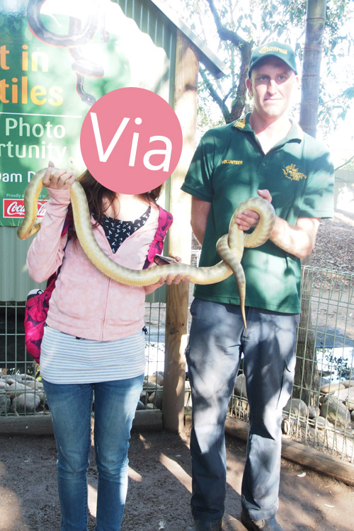 雪梨自由行》雪梨一日遊DayTour：Featherdale wildlife park超精彩必遊動物園