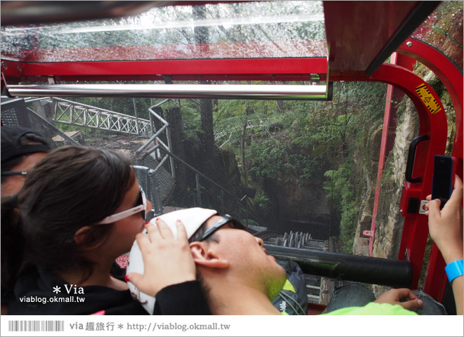 澳洲旅遊景點》藍山一日遊～三姐妹峰、回聲角及世界最陡的纜車之旅