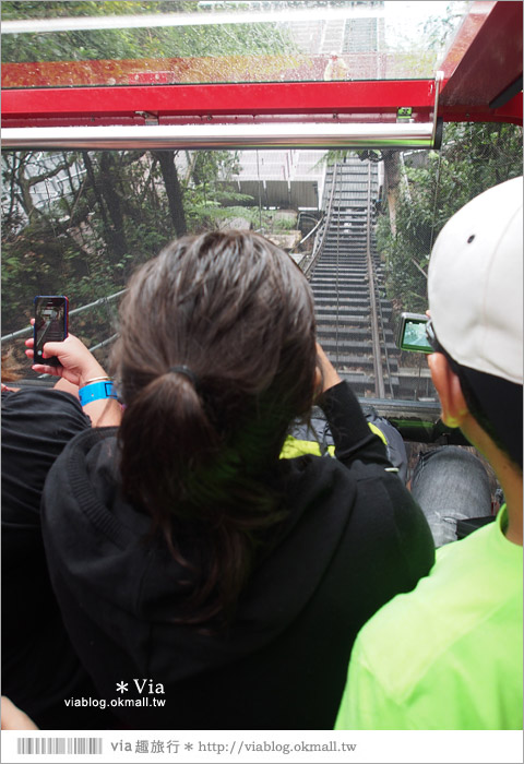 澳洲旅遊景點》藍山一日遊～三姐妹峰、回聲角及世界最陡的纜車之旅