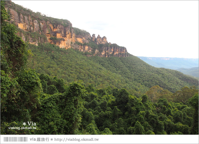 澳洲旅遊景點》藍山一日遊～三姐妹峰、回聲角及世界最陡的纜車之旅