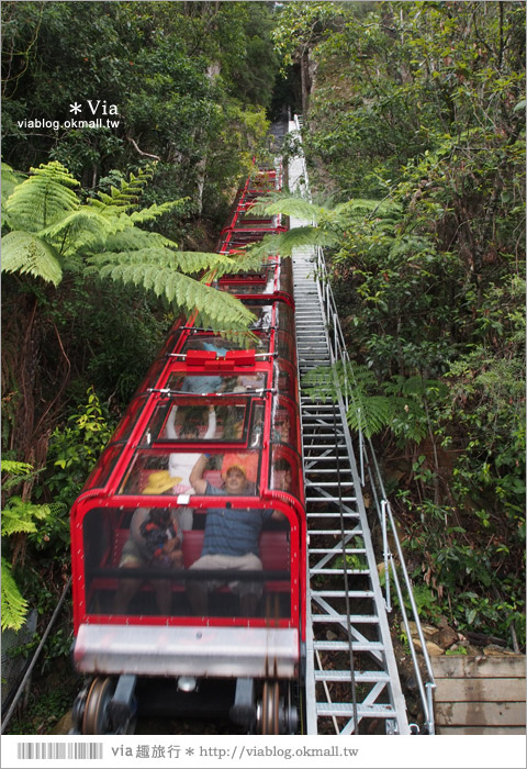 澳洲旅遊景點》藍山一日遊～三姐妹峰、回聲角及世界最陡的纜車之旅