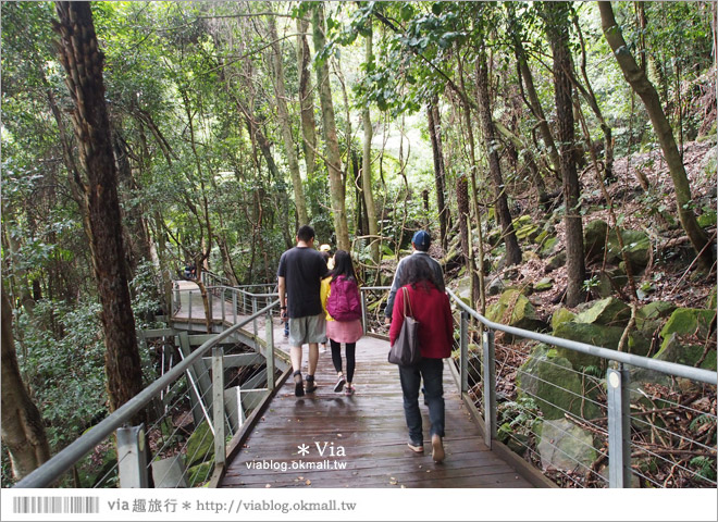 澳洲旅遊景點》藍山一日遊～三姐妹峰、回聲角及世界最陡的纜車之旅