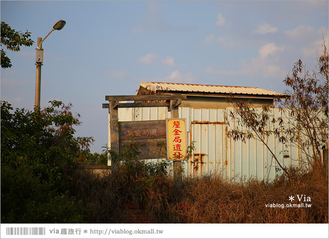 台版亞馬遜河》台南四草紅樹林綠色隧道～絕美！搭乘竹筏出遊賞景趣