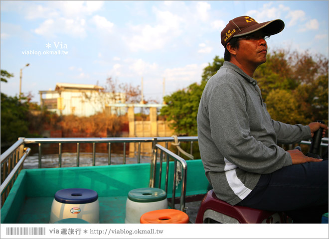 台版亞馬遜河》台南四草紅樹林綠色隧道～絕美！搭乘竹筏出遊賞景趣