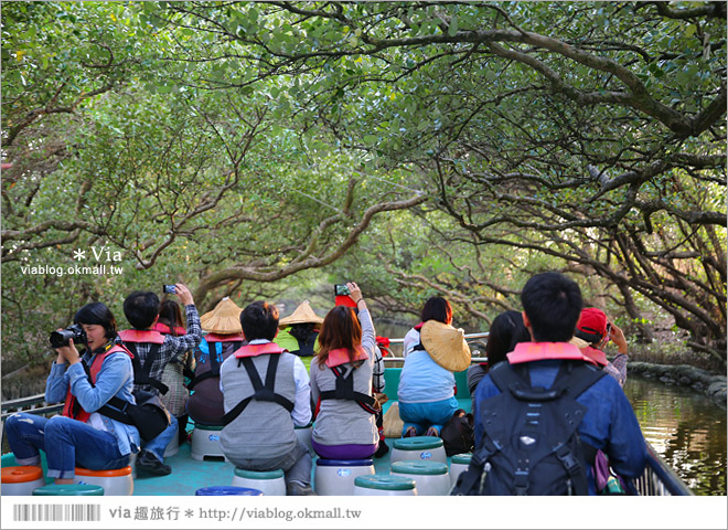 台版亞馬遜河》台南四草紅樹林綠色隧道～絕美！搭乘竹筏出遊賞景趣