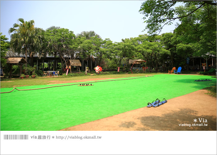 【桃園景點一日遊】親子旅遊景點～青林農場‧紫色馬鞭草花海無敵浪漫！19