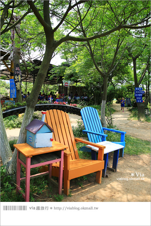 【桃園景點一日遊】親子旅遊景點～青林農場‧紫色馬鞭草花海無敵浪漫！21