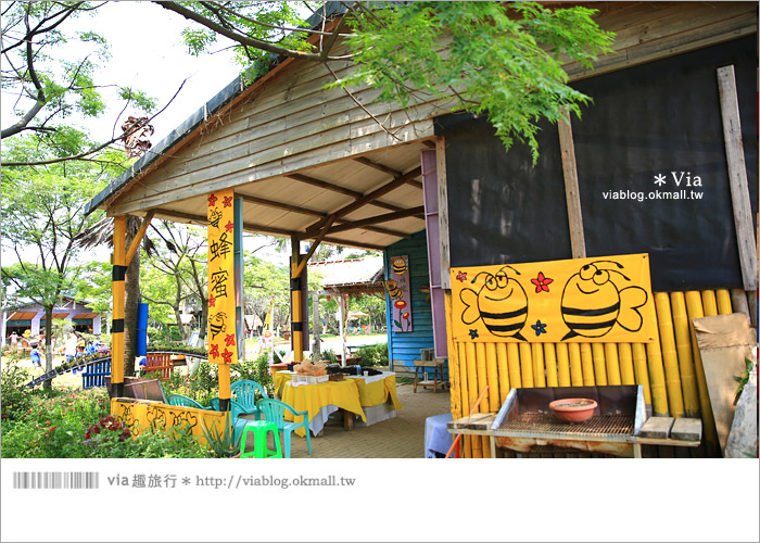 【桃園景點一日遊】親子旅遊景點～青林農場‧紫色馬鞭草花海無敵浪漫！23