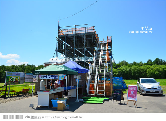 北海道景點》旭川景點推薦～夏日限定！隱藏版景點：不思議的動物版彩繪藝術稻田