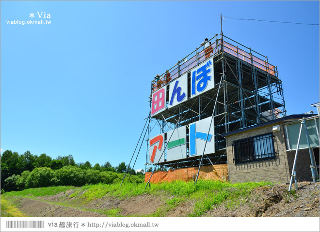 北海道景點》旭川景點推薦～夏日限定！隱藏版景點：不思議的動物版彩繪藝術稻田